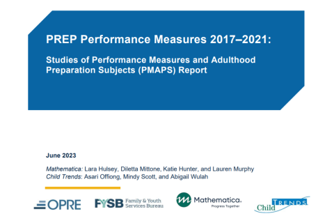 Screenshot of report cover with the title "PREP Performance Measures 2017–2021: Studies of Performance Measures and Adulthood Preparation".