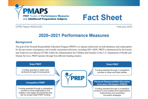 Screenshot of PREP Performance Measures Fact Sheet.
