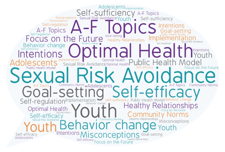 Comment bubble highlighting topics from the e-learning modules including Sexual Risk Avoidance, Optimal Health, Goal-setting, Youth, and Healthy Relationships