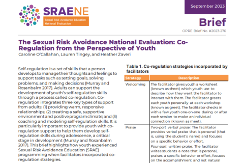 Screenshot of The Sexual Risk Avoidance National Evaluation: Co-Regulation from the Perspective of Youth brief.