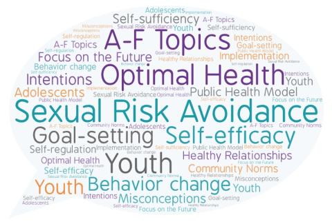 Comment bubble highlighting topics from the e-learning modules including Sexual Risk Avoidance, Optimal Health, Goal-setting, Youth, and Healthy Relationships