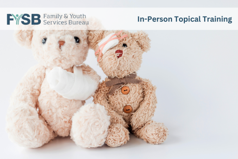 In-Person Topical Training. The image depicts two stuffed bears in bandages.