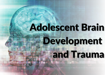 Adolescent Brain Development and Trauma