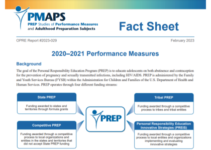 Screenshot of PREP Performance Measures Fact Sheet.