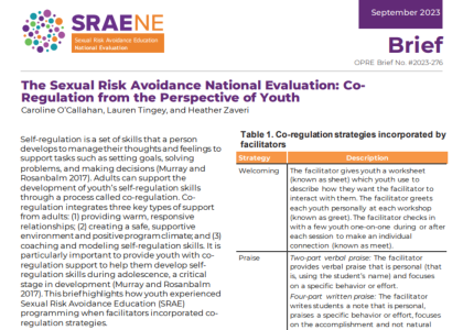 Screenshot of The Sexual Risk Avoidance National Evaluation: Co-Regulation from the Perspective of Youth brief.